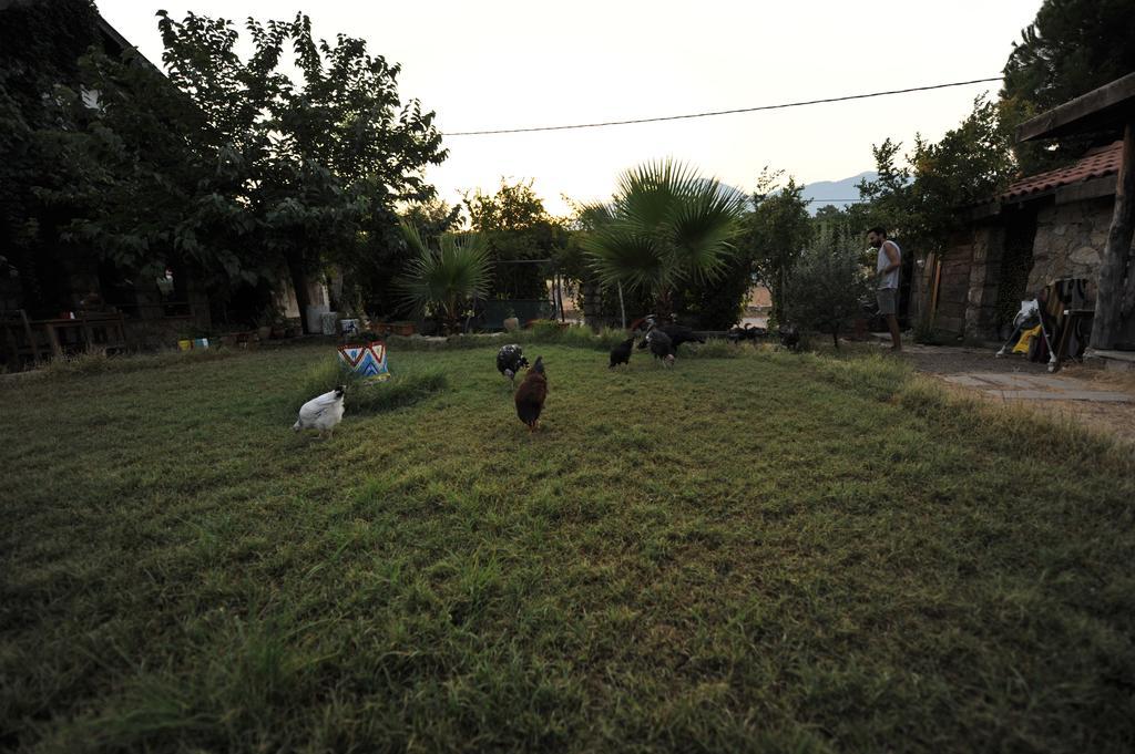 Olympos Koyevi Countryhouse Hotel Exterior photo