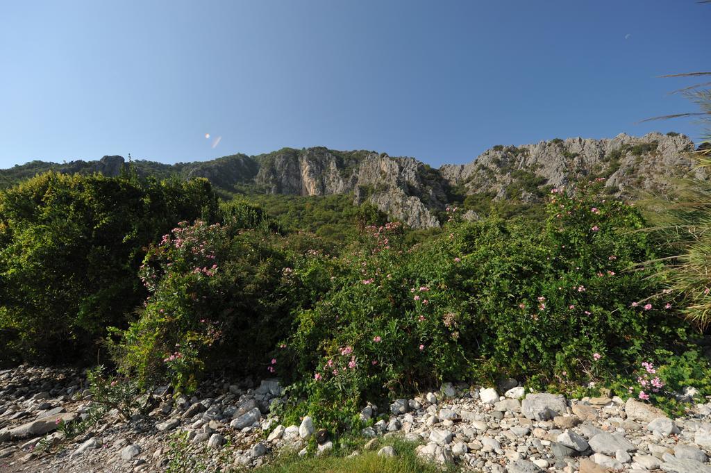 Olympos Koyevi Countryhouse Hotel Exterior photo