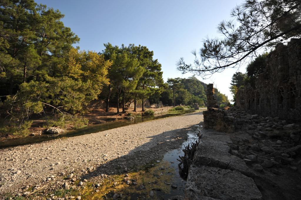 Olympos Koyevi Countryhouse Hotel Exterior photo