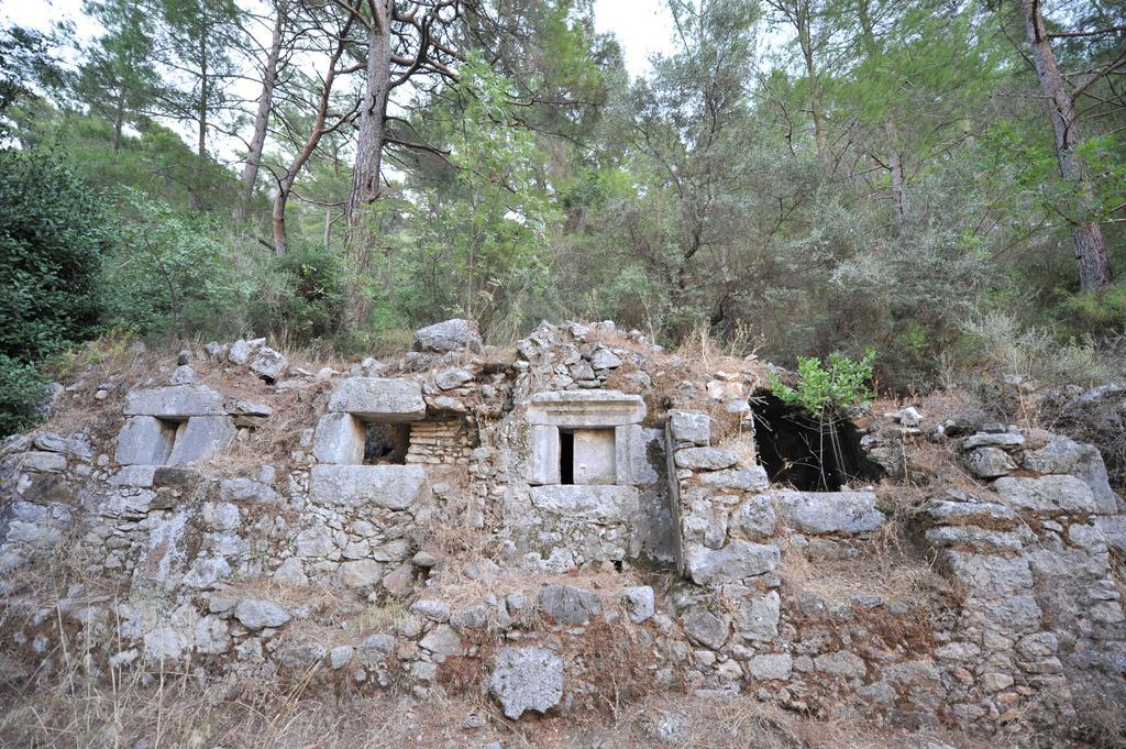 Olympos Koyevi Countryhouse Hotel Exterior photo