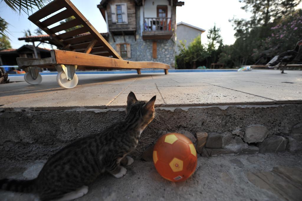 Olympos Koyevi Countryhouse Hotel Exterior photo